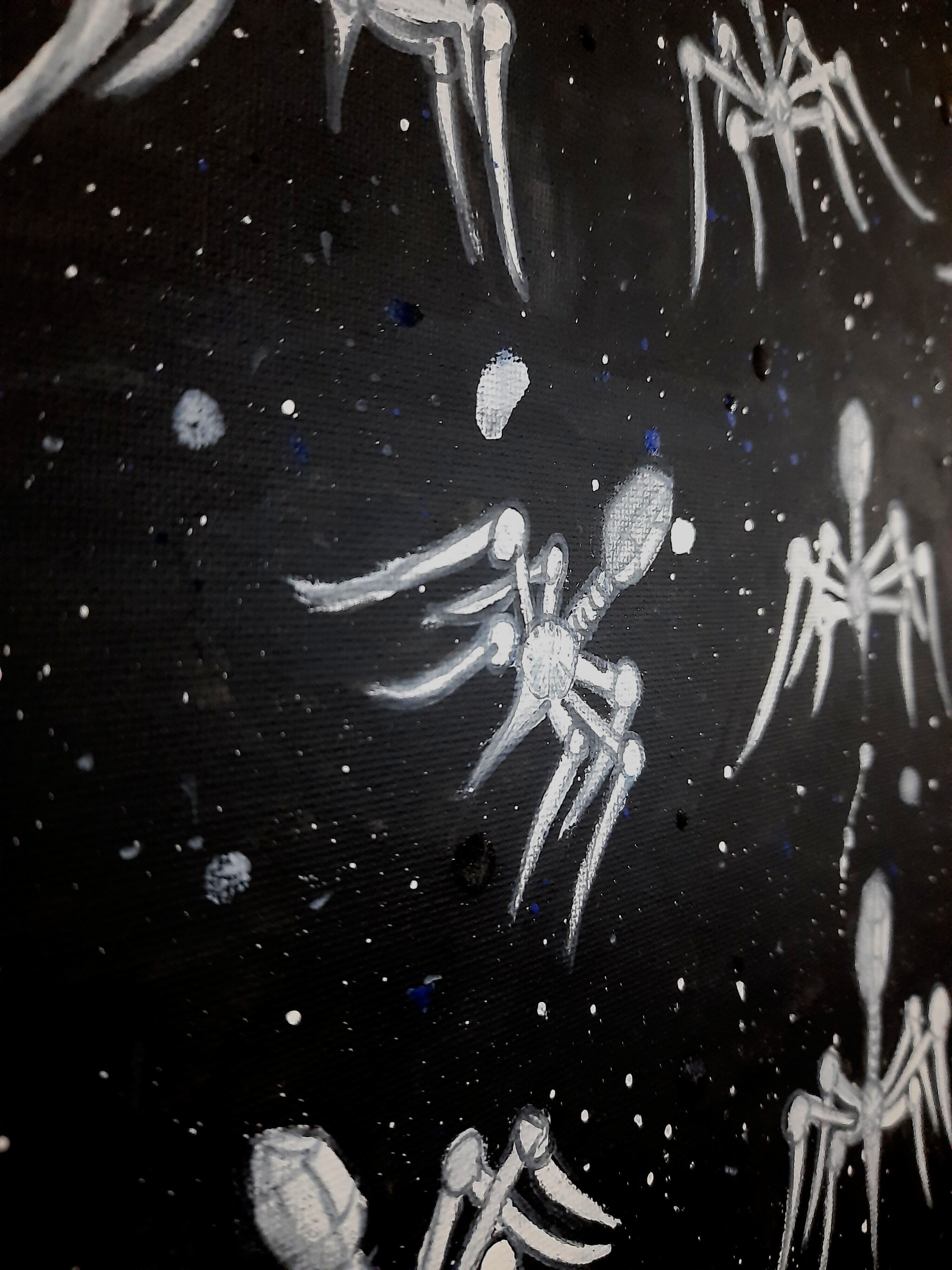 Bacteriophages In Space by Unnati S.